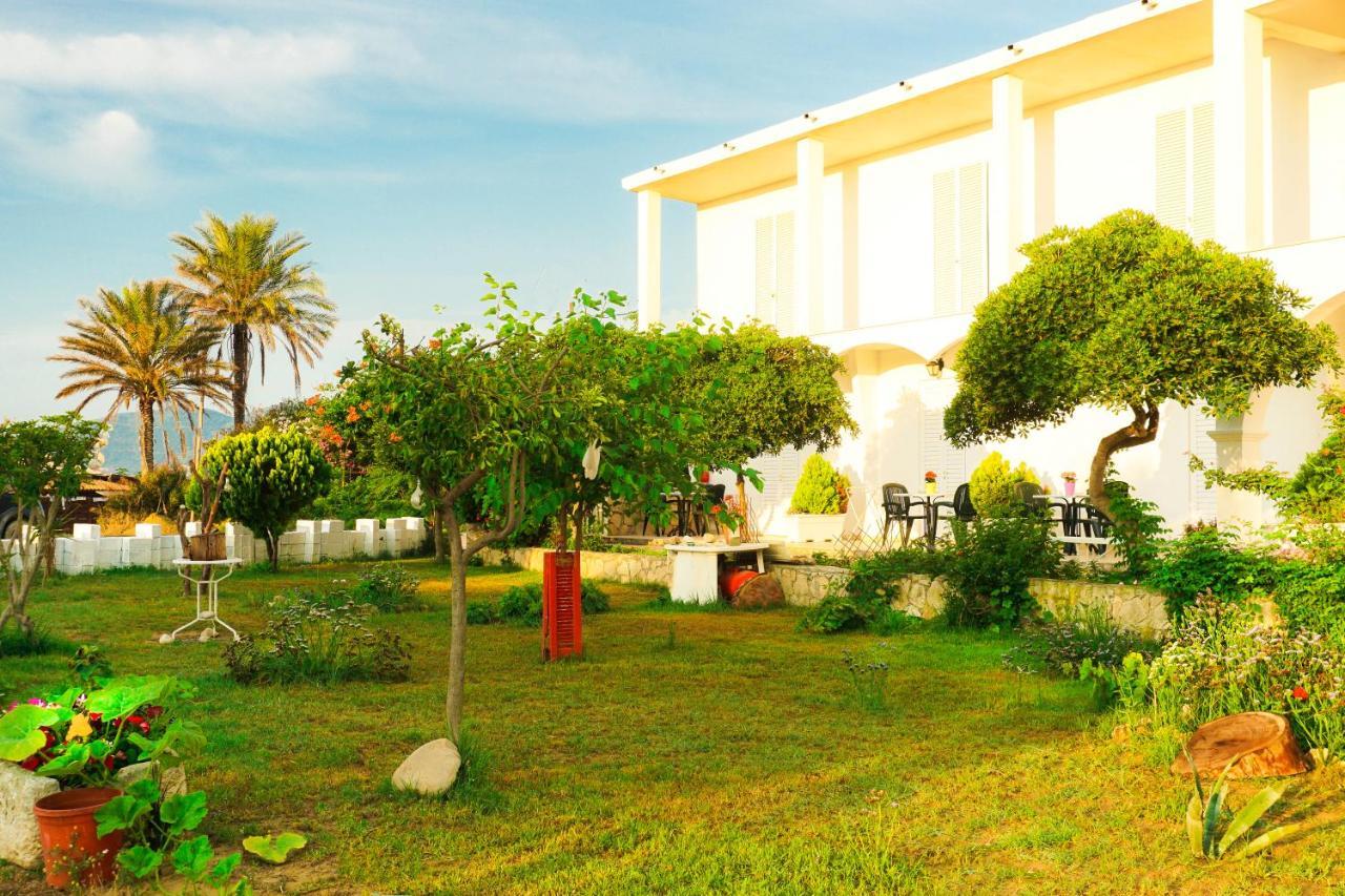 Cubaneros Holiday Inn Laganas Exterior photo